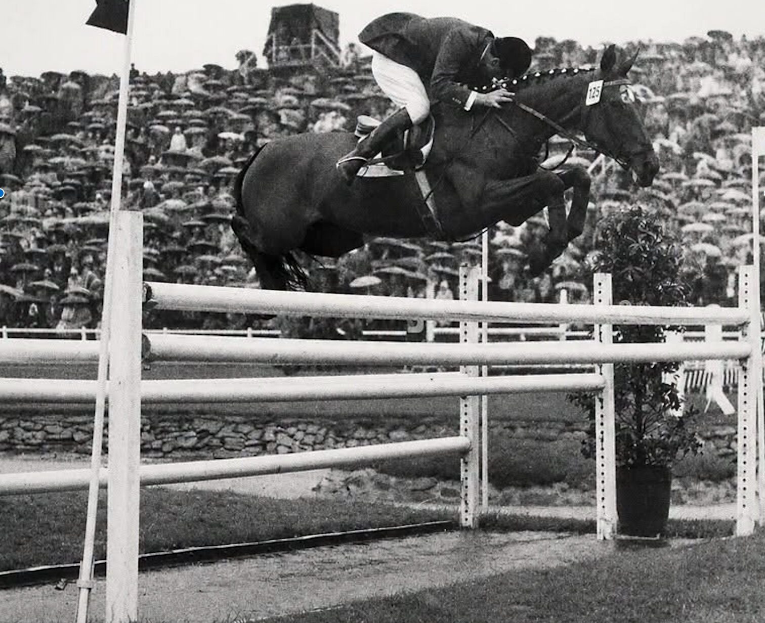 Hans Günter Winkler et Halla